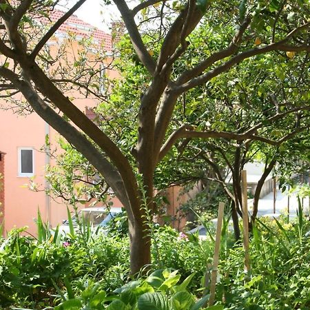 Apartment Podgora 518B Ngoại thất bức ảnh