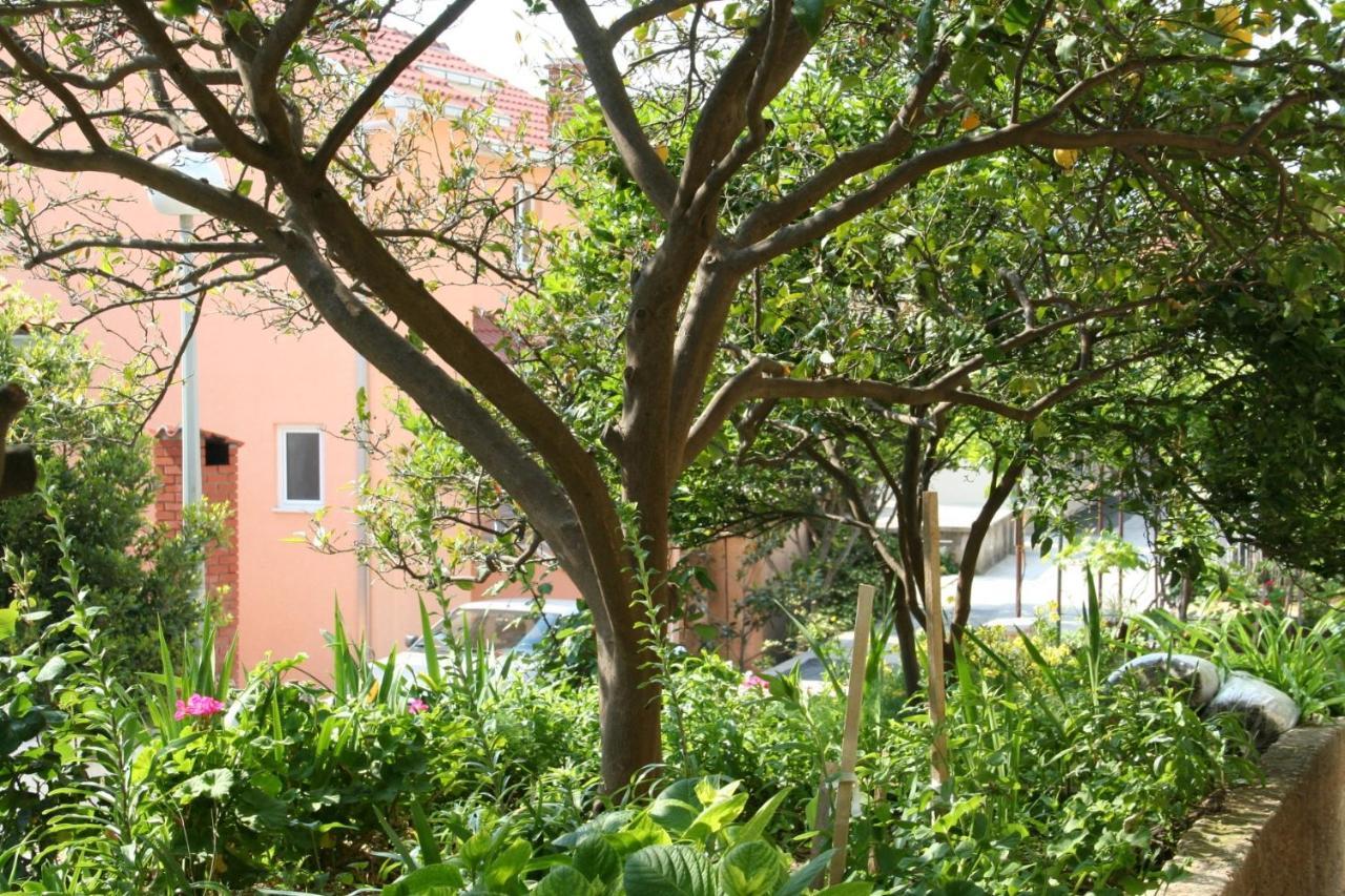 Apartment Podgora 518B Ngoại thất bức ảnh